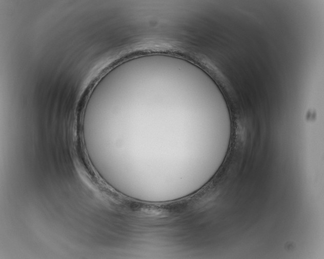 X0000113210582200909100949