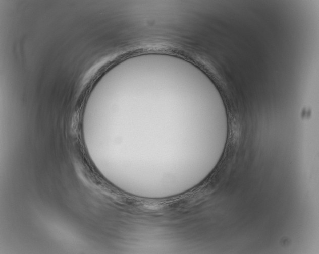 X0000113210583200909100949