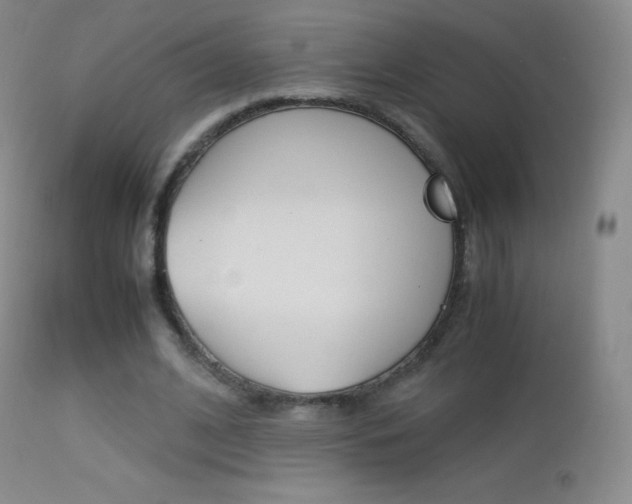 X0000113210584200909100949