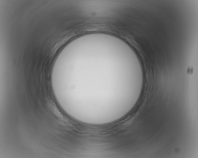 X0000113210585200909100949