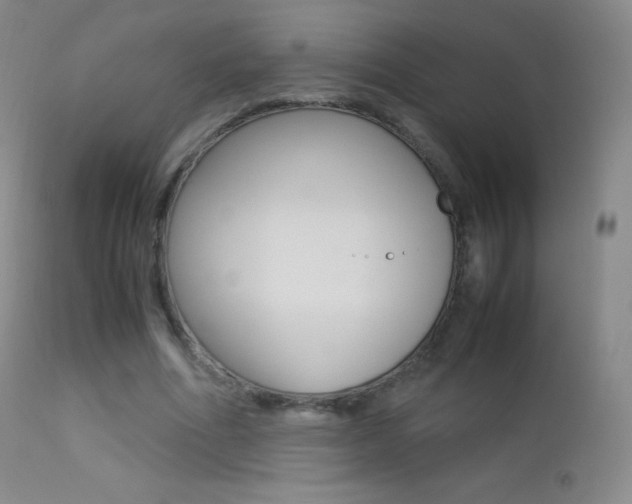 X0000113210586200909100949