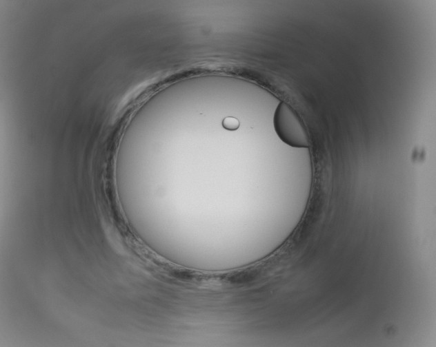 X0000113210587200909100949