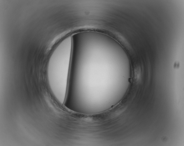 X0000113210588200909100949