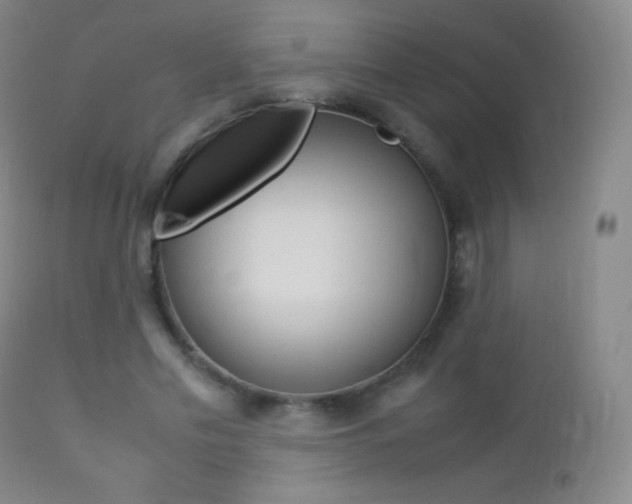 X0000113210589200909100949
