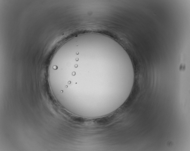 X0000113210591200909100949