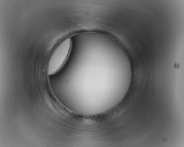 X0000113210592200909100949