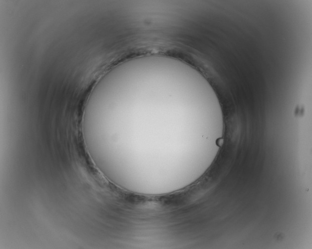X0000113210594200909100949