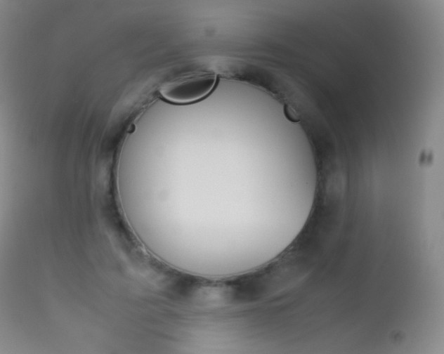 X0000113210595200909100949