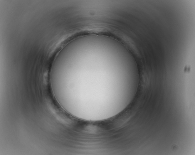 X0000113210596200909100949