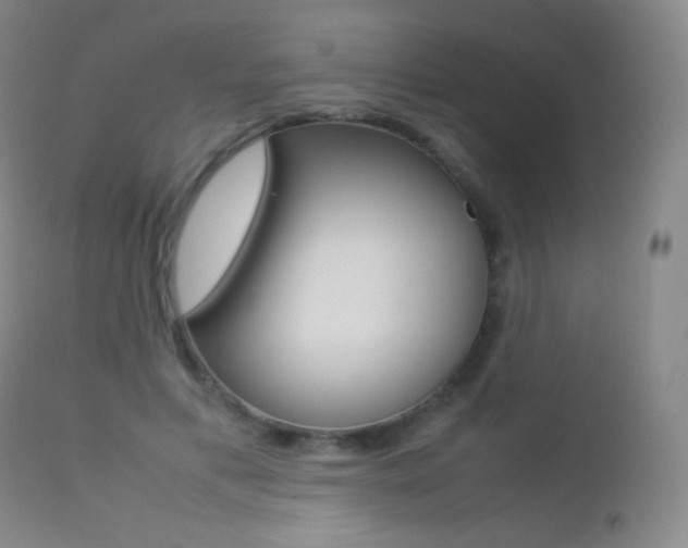 X0000113210597200909100949