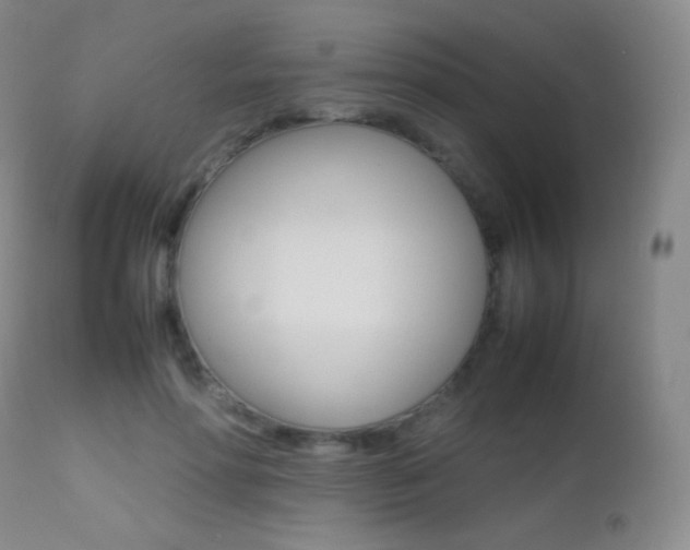 X0000113210598200909100949