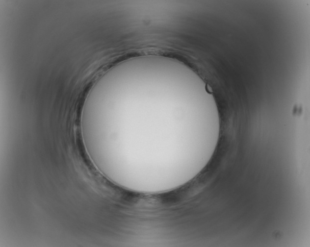 X0000113210599200909100949