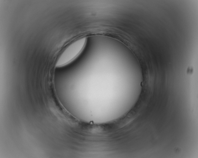 X0000113210600200909100949
