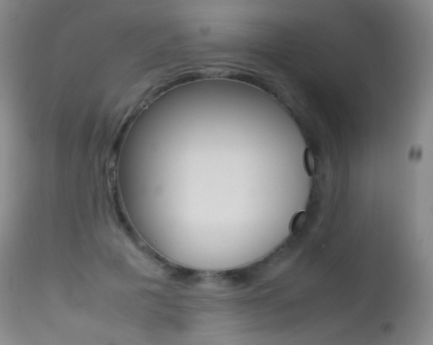 X0000113210601200909100949