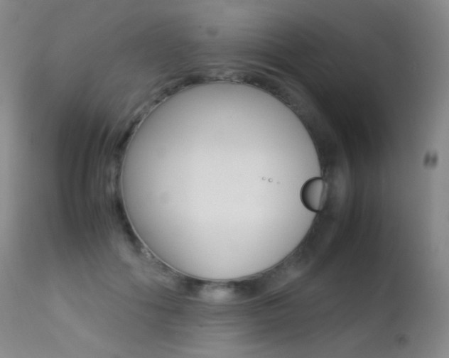 X0000113210602200909100948