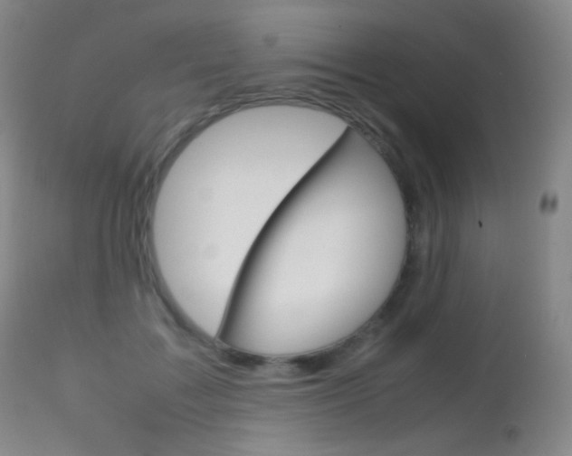X0000113210603200909100948