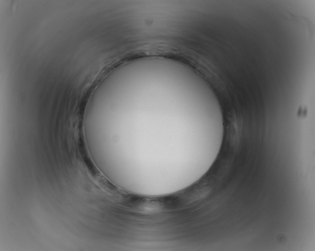 X0000113210604200909100948