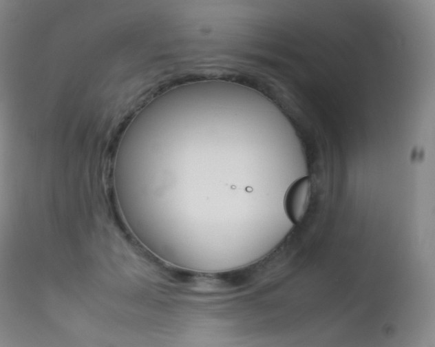 X0000113210605200909100948