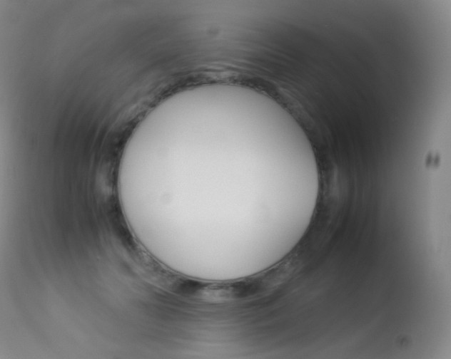 X0000113210606200909100948