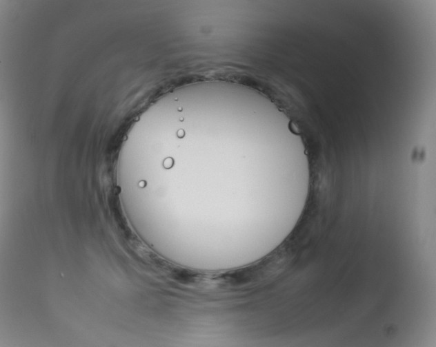 X0000113210607200909100948