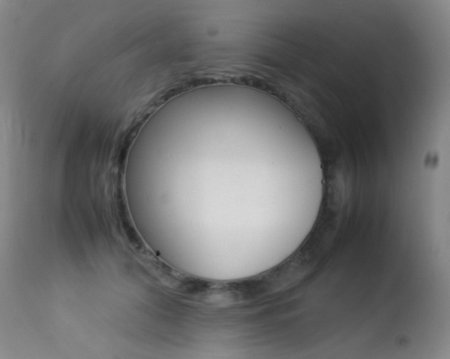 X0000113210608200909100948