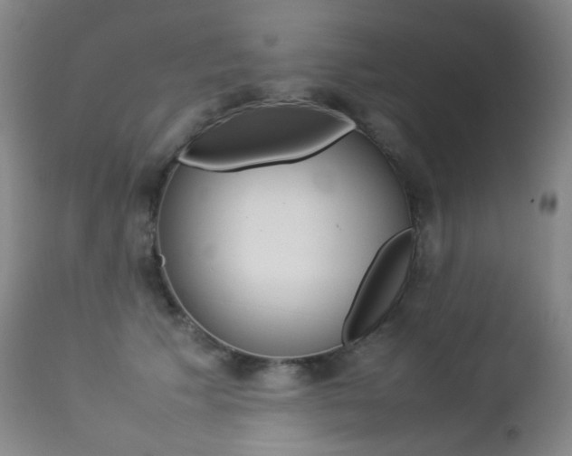 X0000113210609200909100948