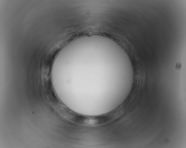 X0000113210610200909100948