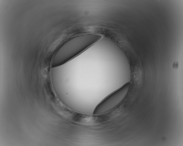 X0000113210611200909100948