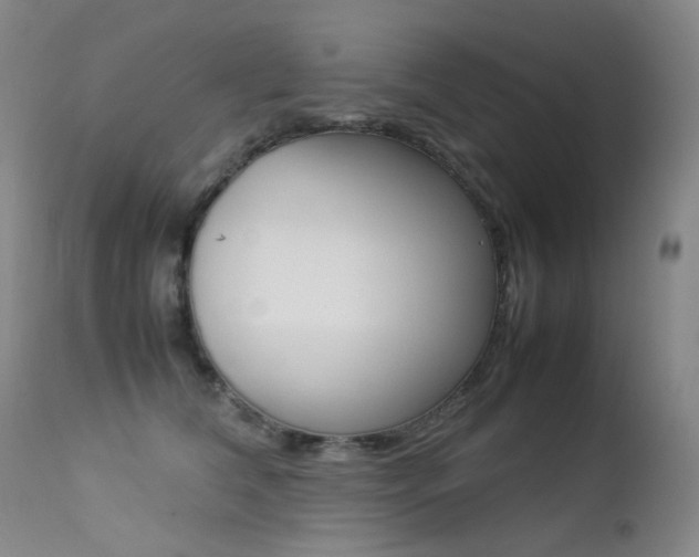 X0000113210612200909100948