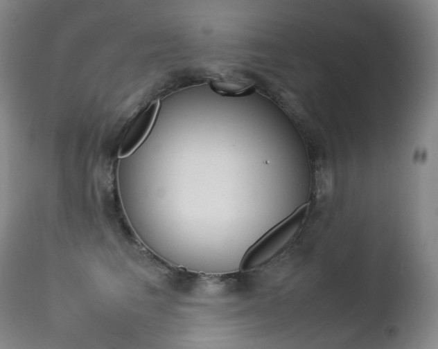 X0000113210613200909100948
