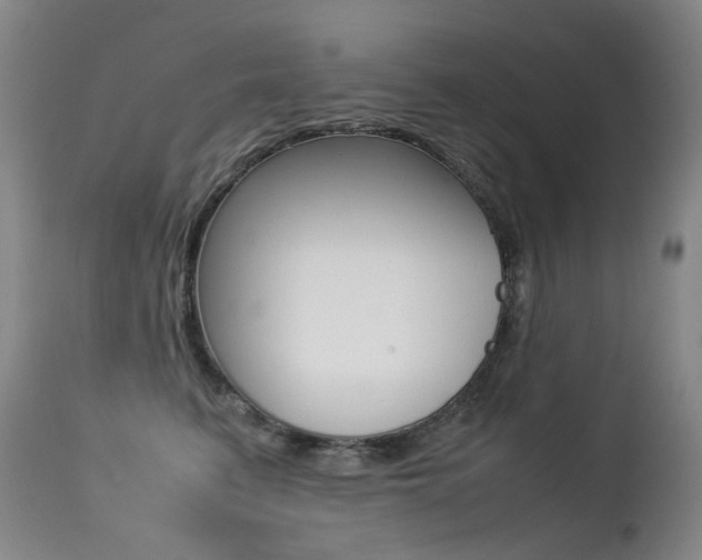 X0000113210615200909100948
