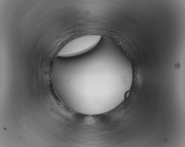 X0000113210616200909100948
