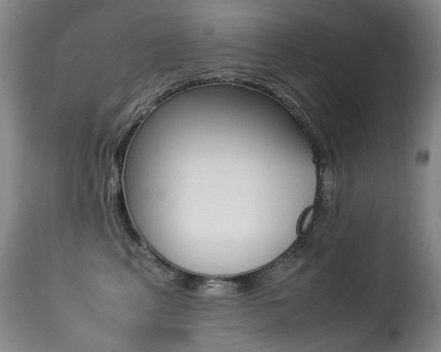 X0000113210617200909100948