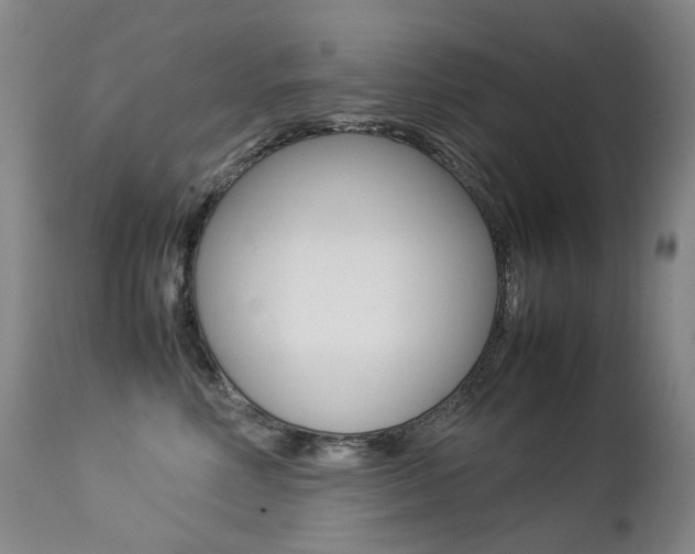 X0000113210618200909100948