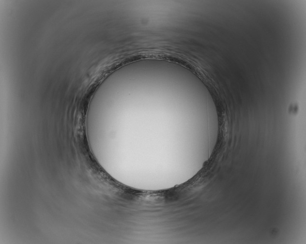 X0000113210619200909100948