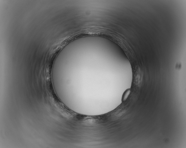 X0000113210620200909100948