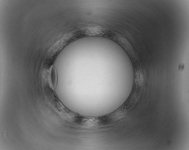 X0000113210621200909100948