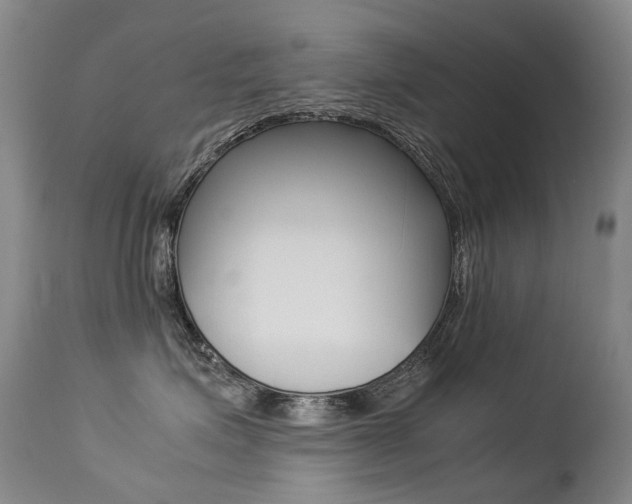 X0000113210623200909100948