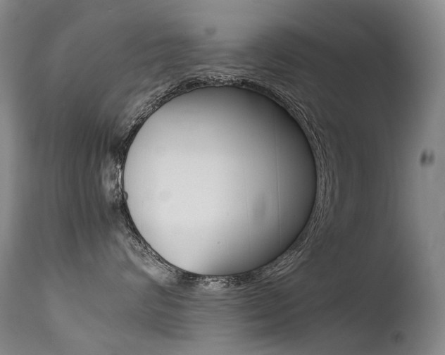 X0000113210624200909100948