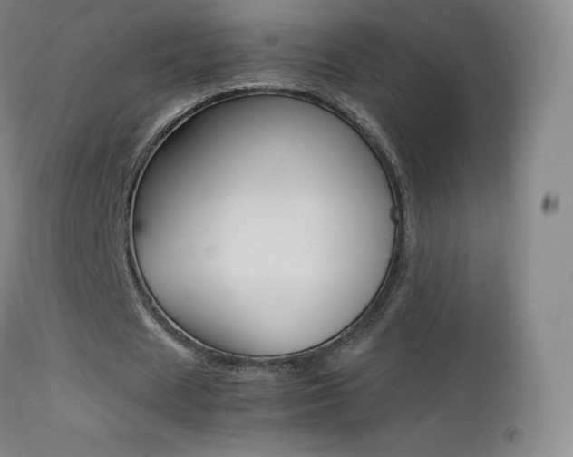 X0000113210625200909100947