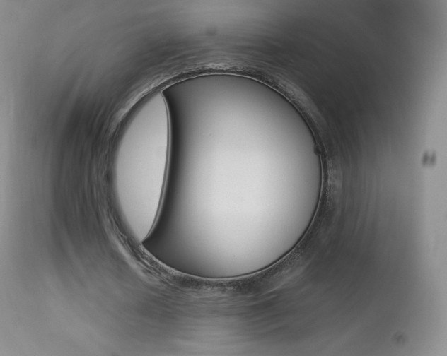X0000113210626200909100947