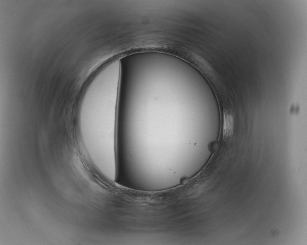 X0000113210627200909100947