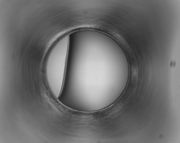 X0000113210628200909100947