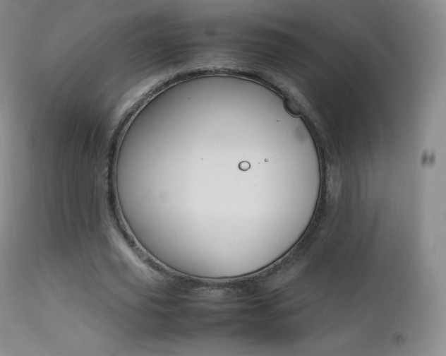 X0000113210629200909100947