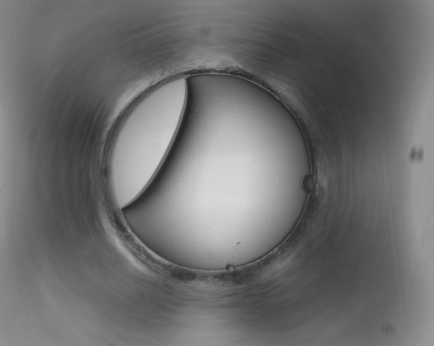 X0000113210630200909100947