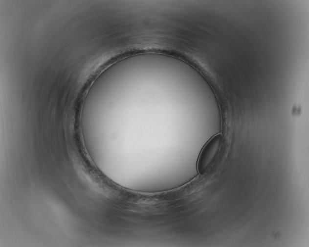 X0000113210631200909100947