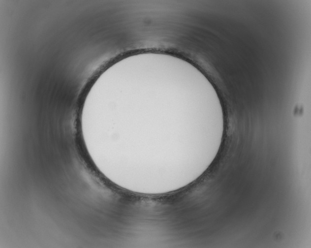 X0000113210632200909100947