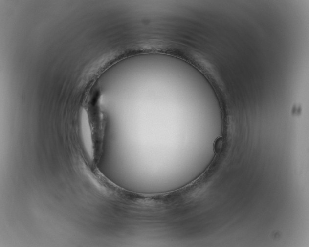 X0000113210633200909100947
