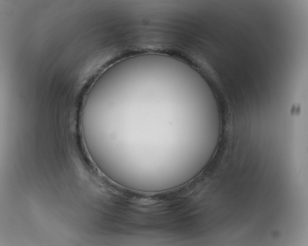 X0000113210635200909100947