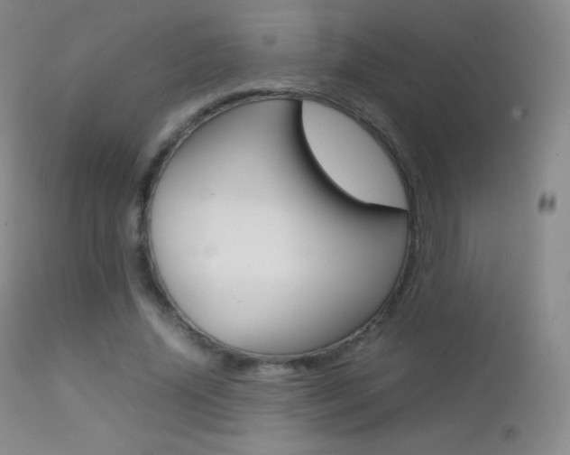 X0000113210636200909100948